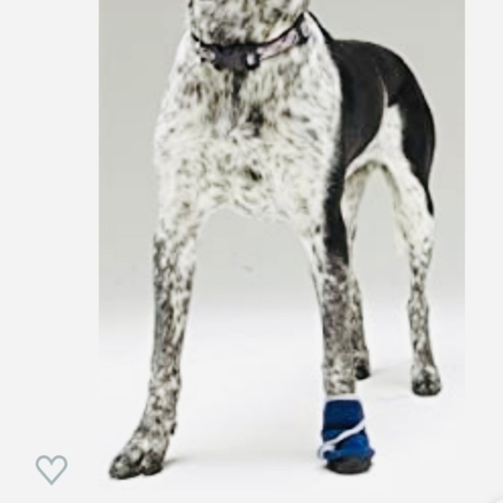 Healers dog bootie size M